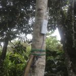 anja-vormann-modem-im-urwald