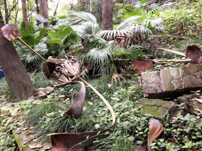 anja-vormann-material-natur