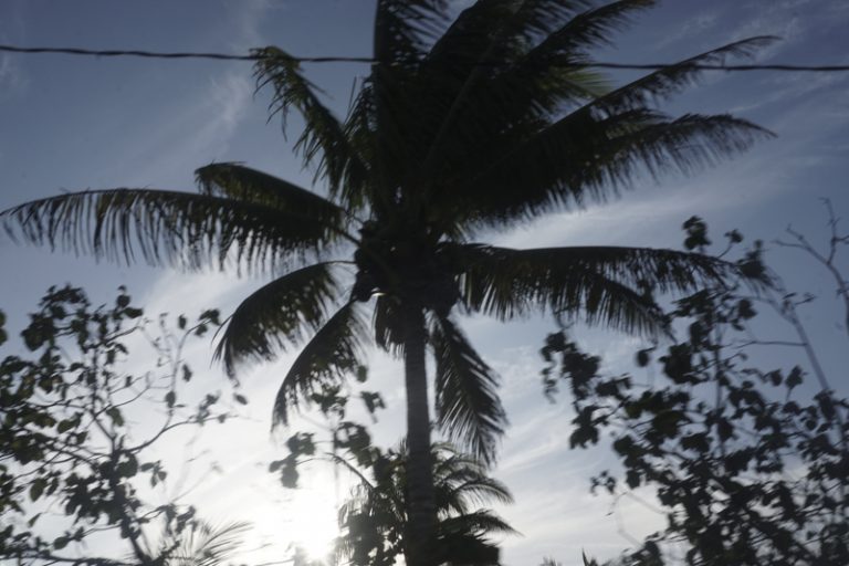 anja-vormann-paradise-park-hsd