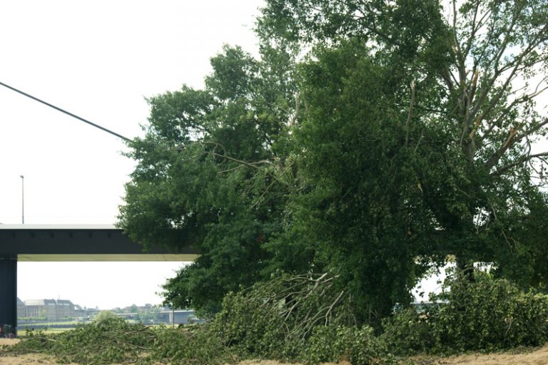 anja-vormann-material- zerstörte-natur